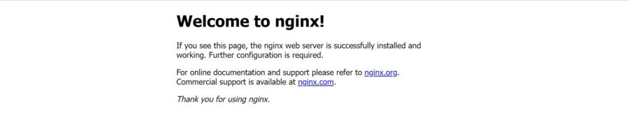 Container Nginx